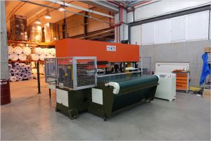 Meaisín Gearradh Die Uathoibrithe Chreasa Uathoibríoch Conveyer Chreasa